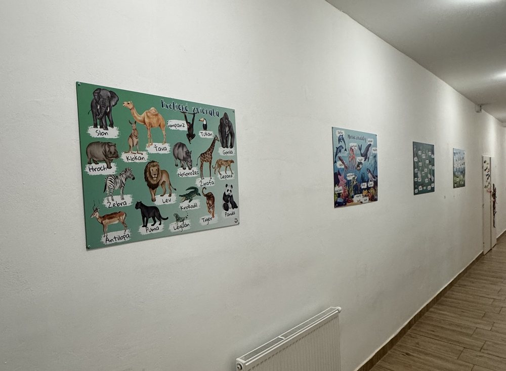 Edukačné tabule Exotické zvieratá a Morské živočíchy na stene chodby v materskej škole