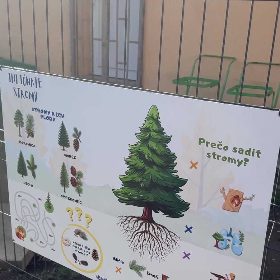 Tabuľa Ihličnaté stromy namontovaná na plote materskej školy