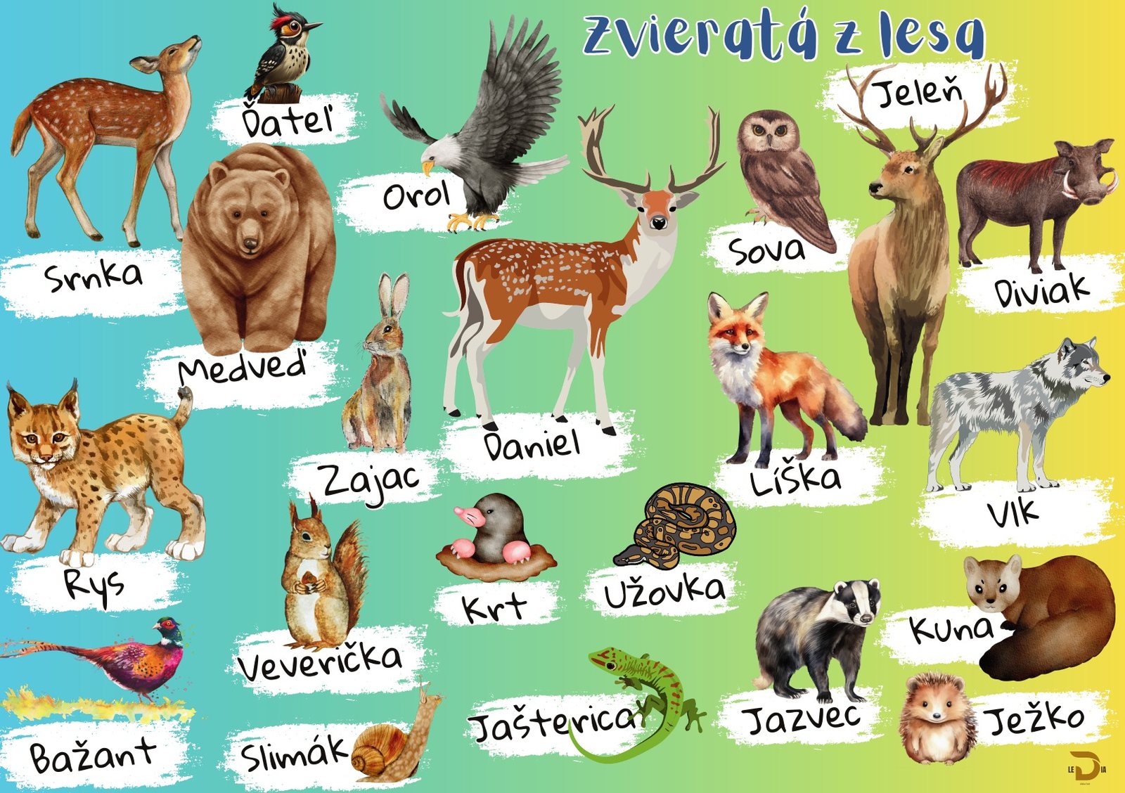 Edukačná tabuľa Zvieratá z lesa s ilustráciami srnky, medveďa, orla, jeleňa, líšky, vlka a ďalších lesných zvierat