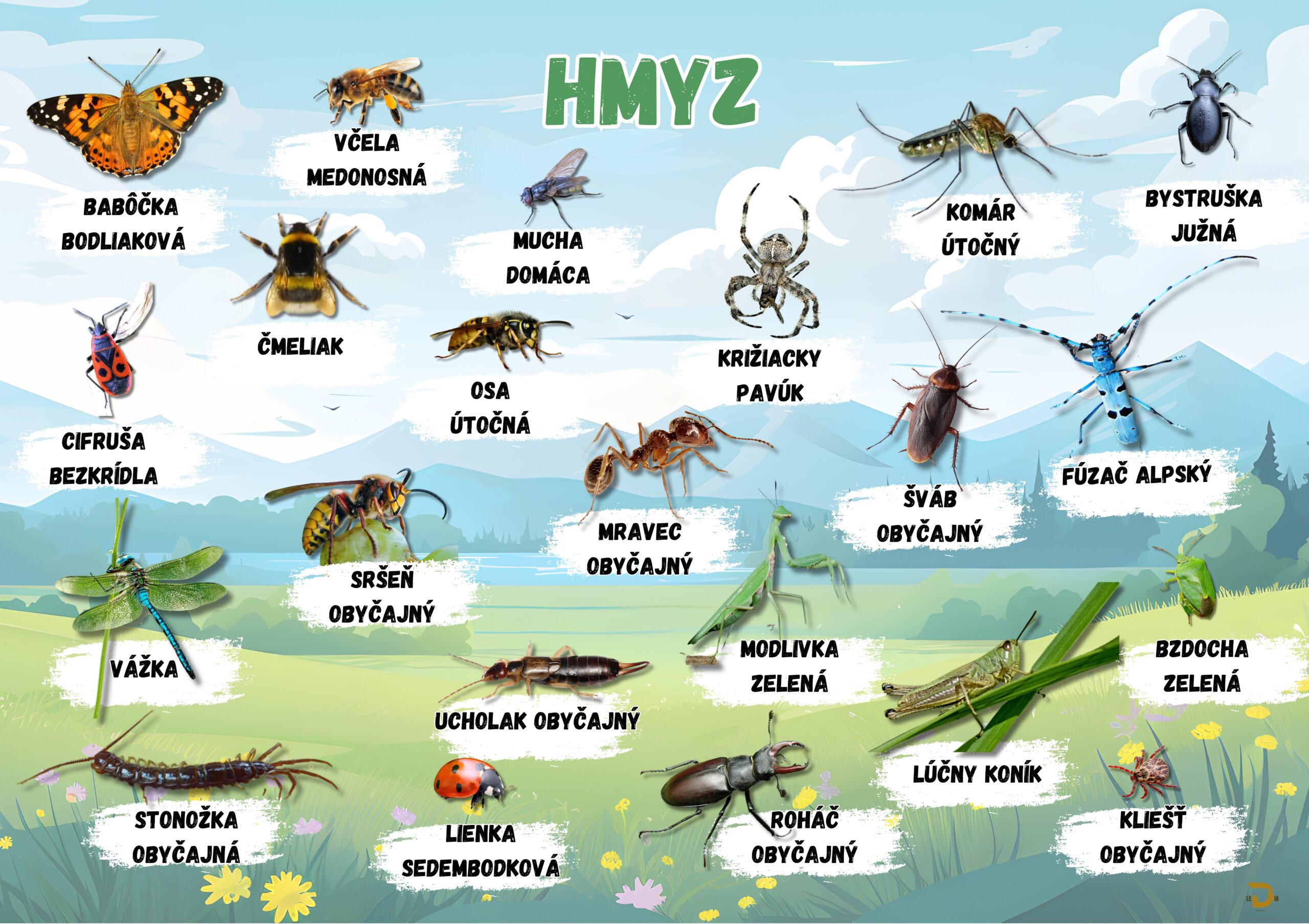 Spozn vame Hmyz Eduka n Tabule spozn-vame-hmyz-eduka-n-tabule